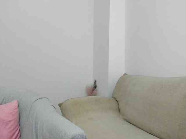 DaisyAbby webcam
