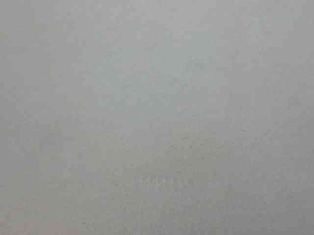 ShafirYoung webcam