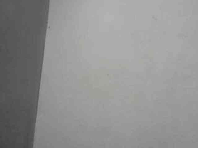 ShafirYoung webcam