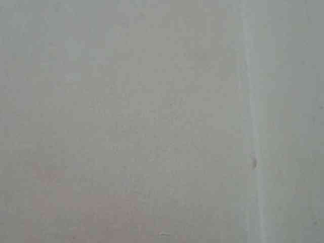 ShafirYoung webcam