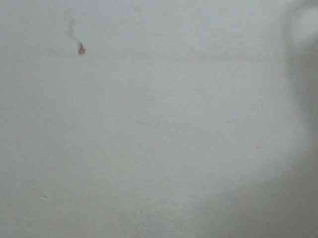 ShafirYoung webcam