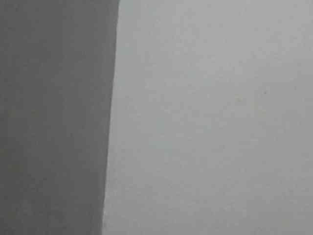 ShafirYoung webcam