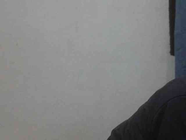 ShafirYoung webcam