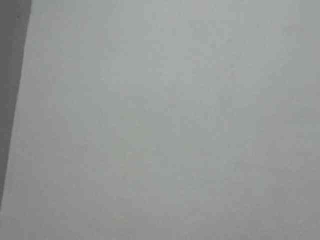 ShafirYoung webcam