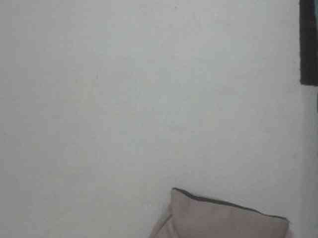 ShafirYoung webcam