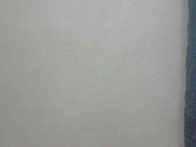 ShafirYoung webcam