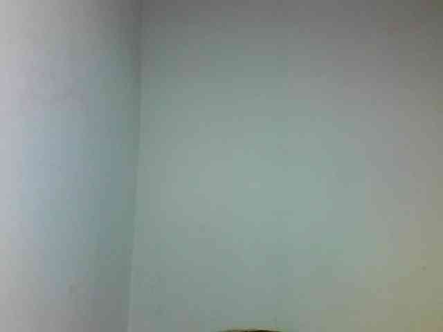 Priciasexy webcam