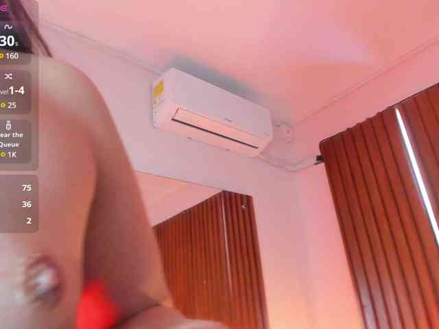 roxana-mill webcam