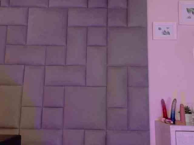 roxana-mill webcam