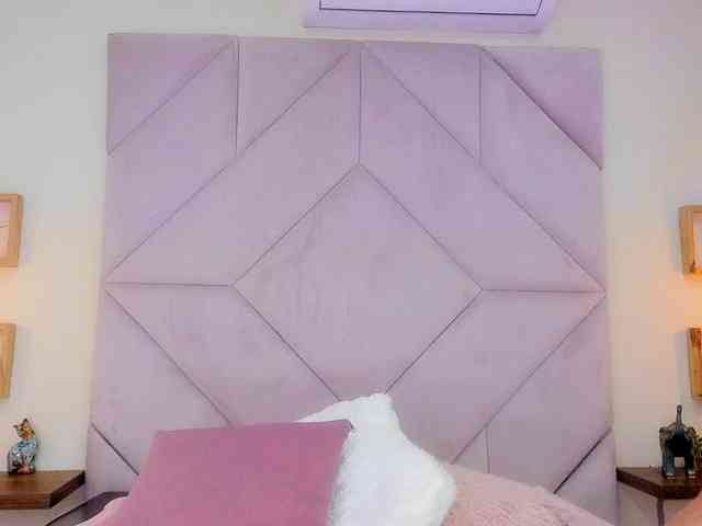 roxana-mill webcam