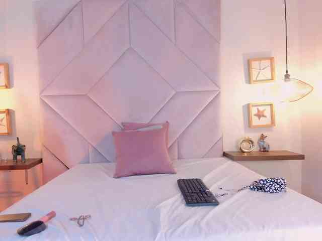 roxana-mill webcam