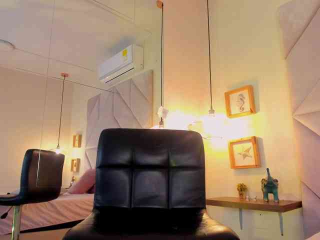 roxana-mill webcam