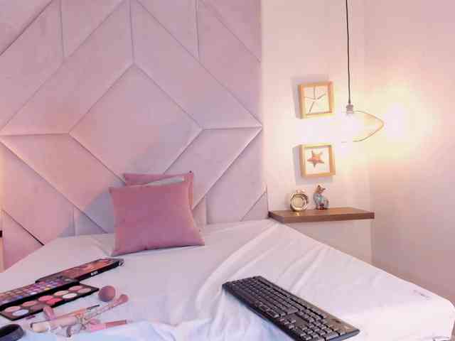 roxana-mill webcam