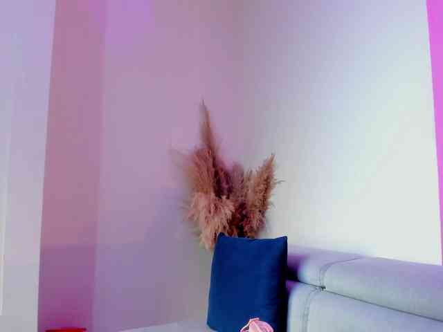 roxana-mill webcam
