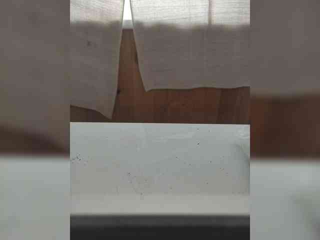 Shah96 Live Webcam on BongaCams Shah96 Live Webcam on BongaCams