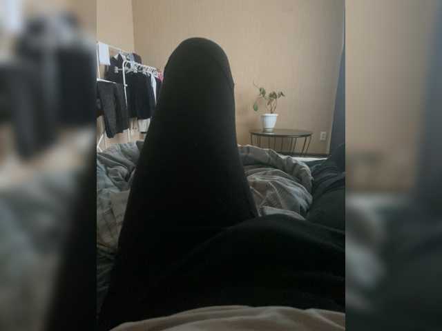 go to chat with Shtychka