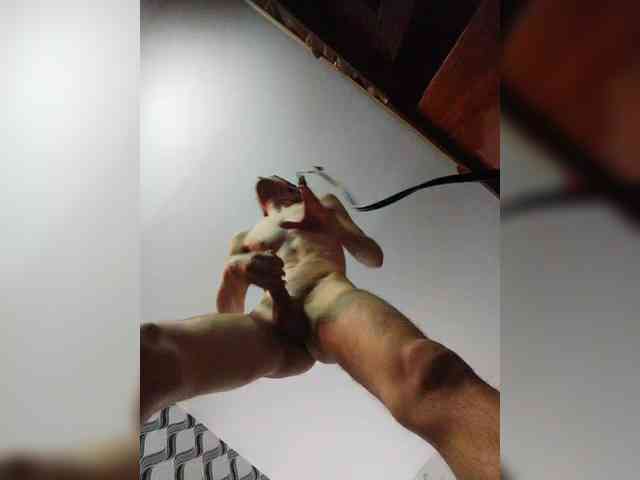 PlaySexxx