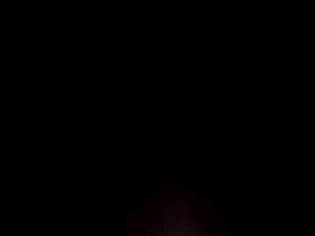 engela-s-1 webcam