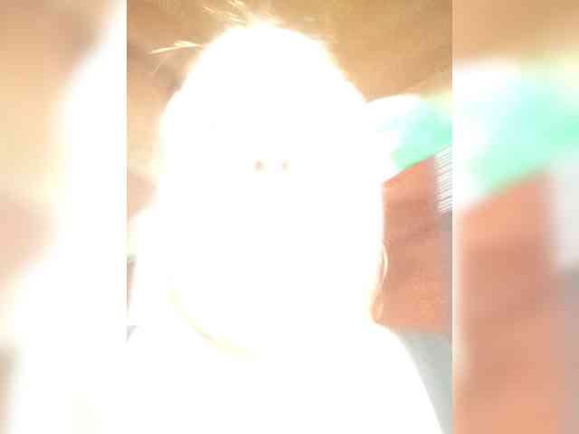 engela-s-1 webcam