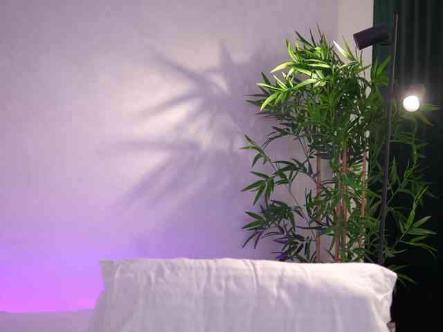 ArtTeasee Live Webcam on BongaCams