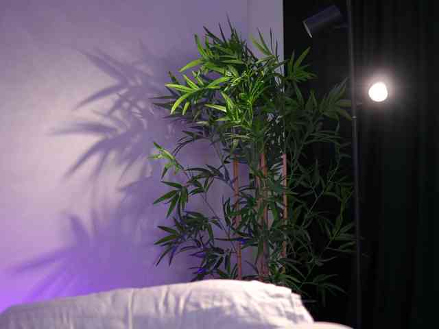 ArtTeasee Live Webcam on BongaCams