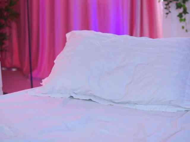 ArtTeasee webcam