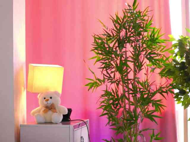 adult sex cam ArtTeasee