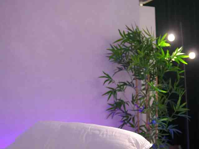 ArtTeasee Live Webcam on BongaCams