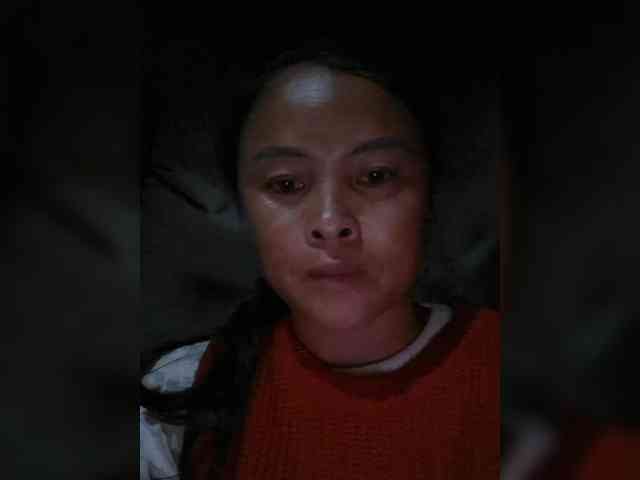 hanic webcam