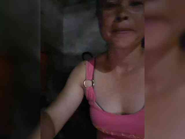 hanic webcam