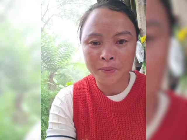 hanic webcam