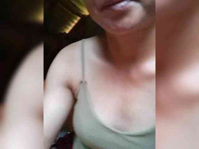 hanic webcam