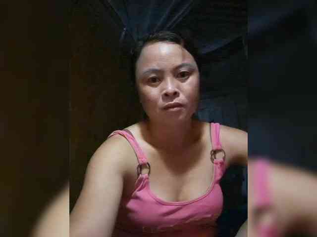 hanic webcam
