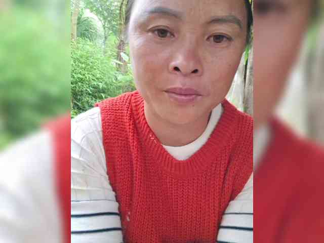 hanic webcam