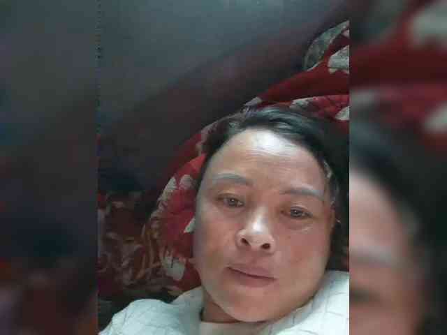 hanic webcam