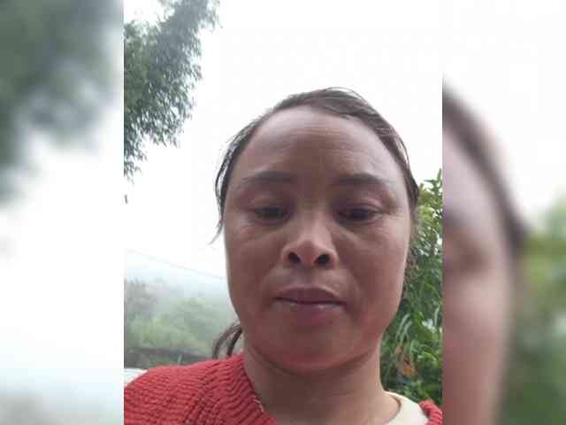 hanic webcam