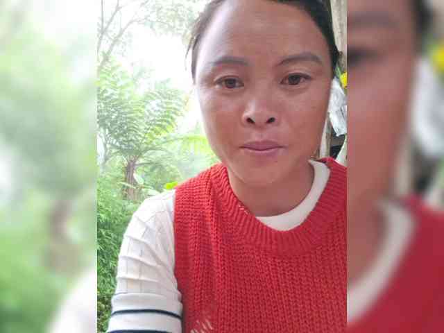 hanic webcam