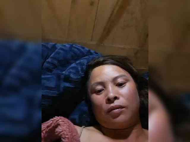 hanic webcam