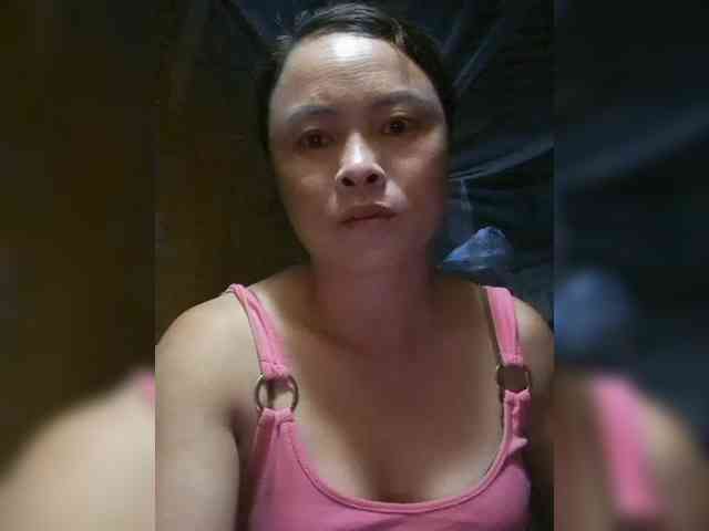 hanic webcam