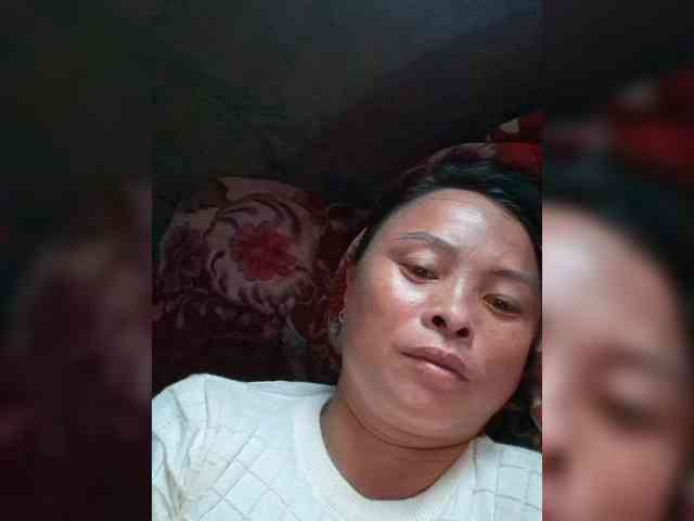 hanic webcam