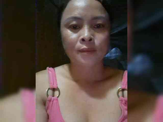 hanic webcam