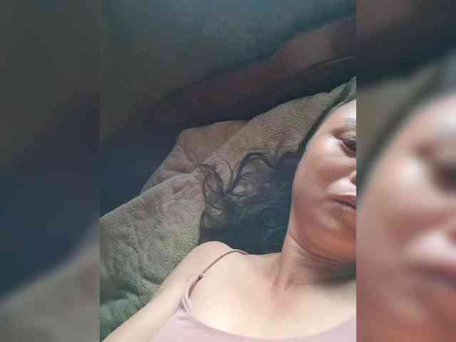 hanic webcam