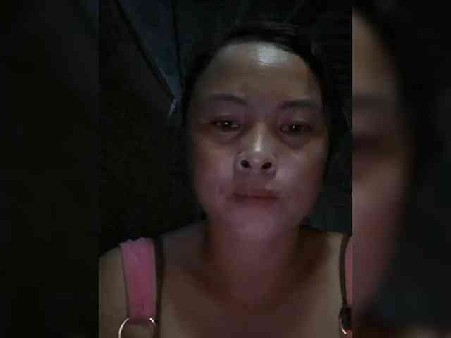 hanic webcam