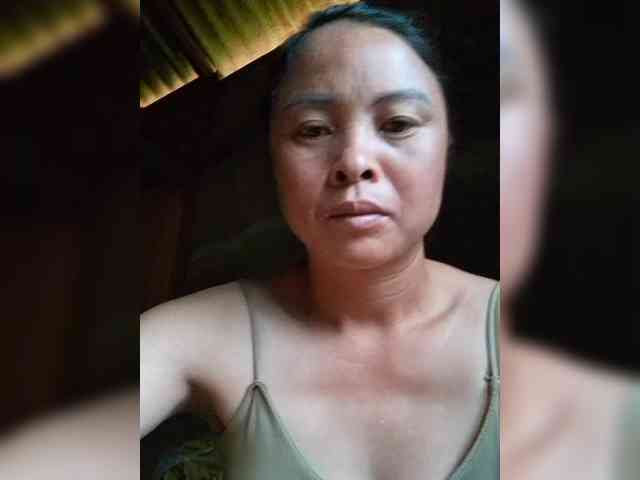 hanic webcam