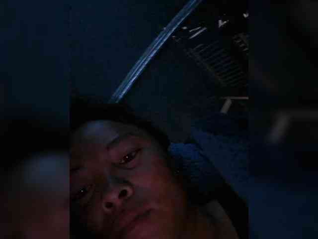 hanic webcam