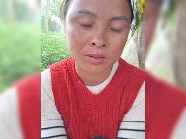 hanic webcam