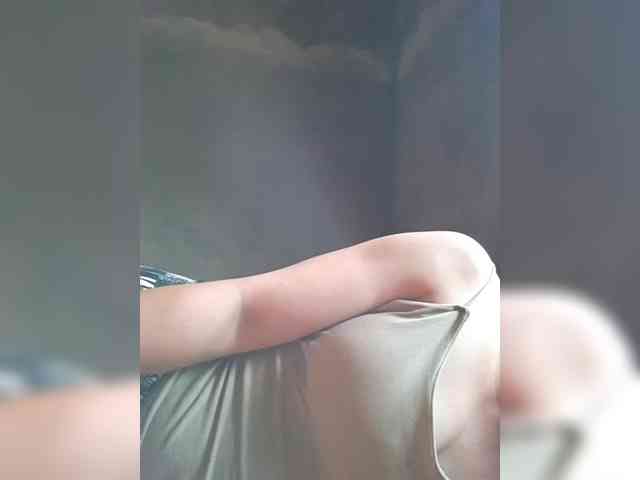 hanic webcam
