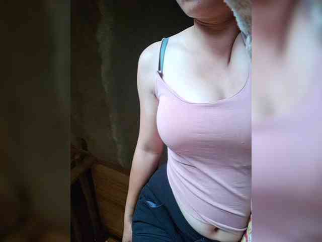 hanic webcam