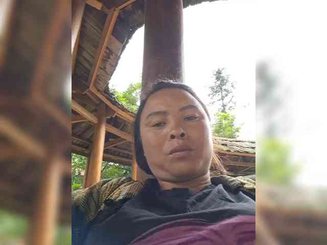 hanic webcam