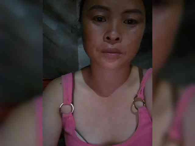 hanic webcam